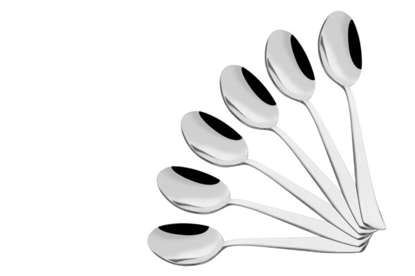 ARTIC DINNER SPOON