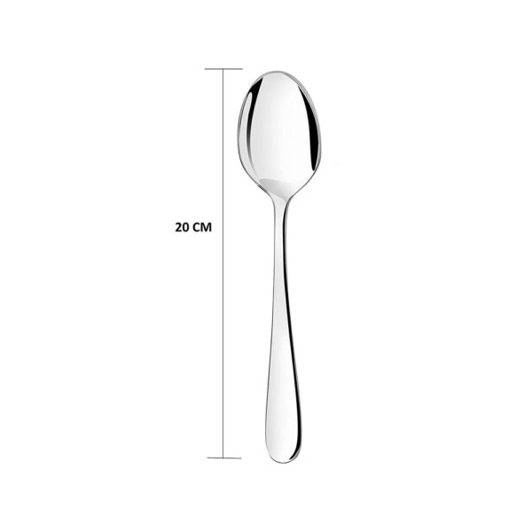 Colin Table Spoon